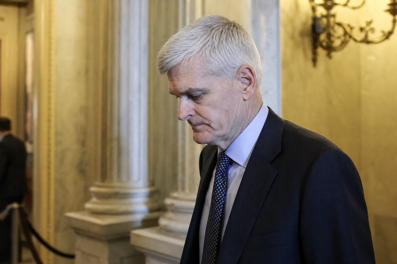 AI Generated - Cassidy Loss Leaves Only Two Trump Impeachment Republicans